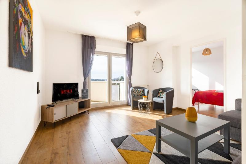 Travel Homes - Le Rebberg Superbe vue à Mulhouse - image 1