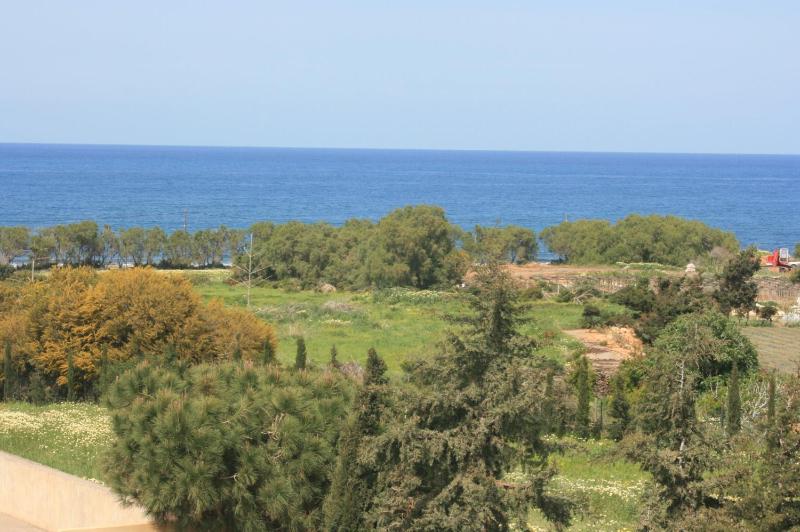 Eleonora Αnissaras - image 46