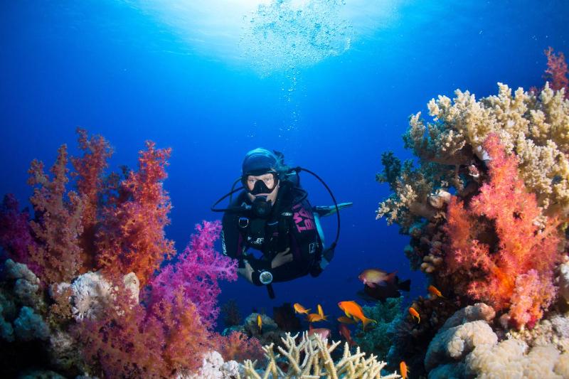 Umbi Sharks Bay Diving Village - image 19