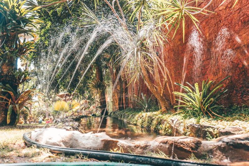 Pousada Oasis - image 6