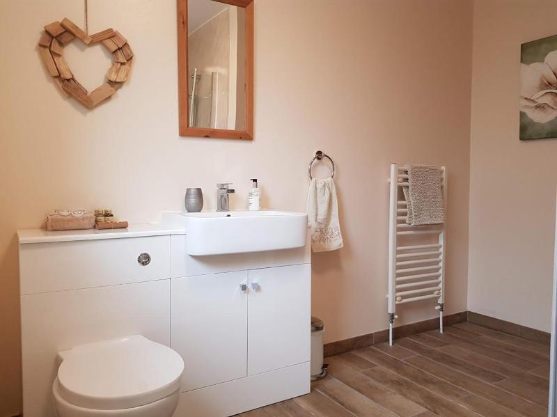One-Bedroom Apartment image 2