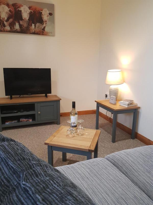 One-Bedroom Apartment image 2