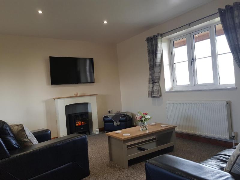 Two-Bedroom Apartment image 4