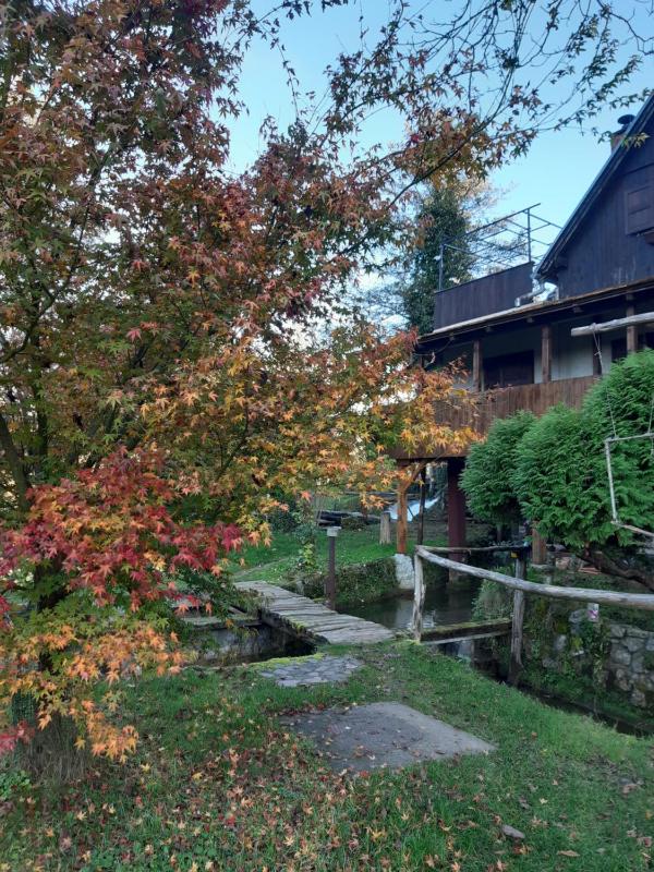 Apartment with Lake View image 3