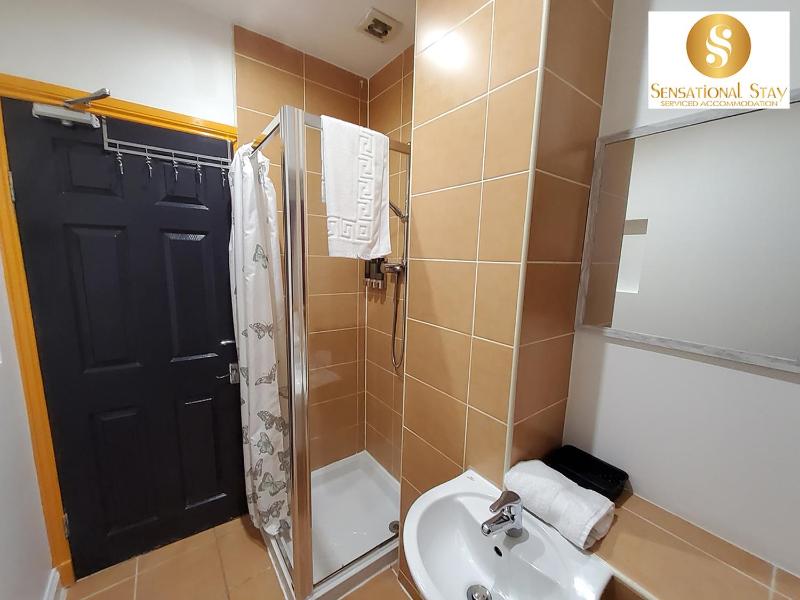 One-Bedroom Apartment image 2