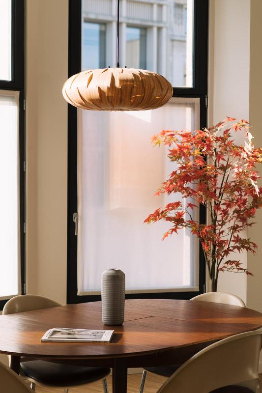 One-Bedroom Apartment with Terrace image 3