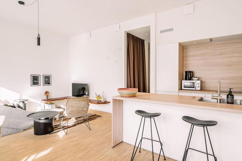 One-Bedroom Apartment with Terrace image 4