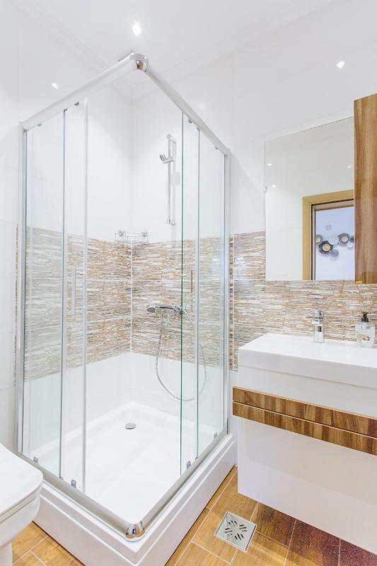 One-Bedroom Apartment image 3