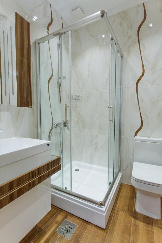 One-Bedroom Apartment image 3