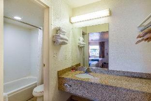 Room #18103220 image 3