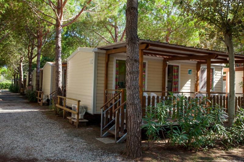 Mobile Home image 1