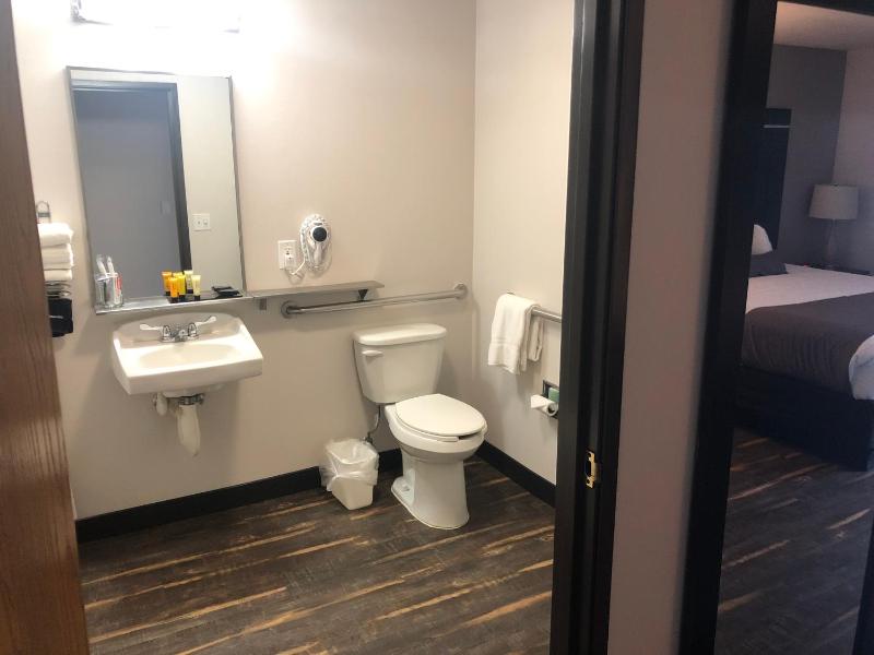 King Room with Spa Bath Disability Access image 4
