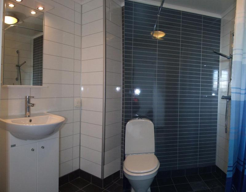 One-Bedroom Apartment image 2