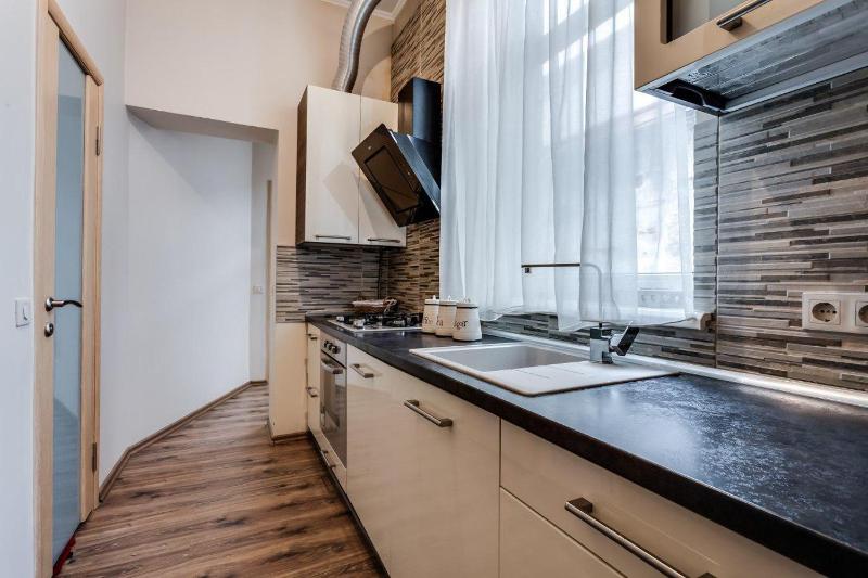 One-Bedroom Apartment image 2