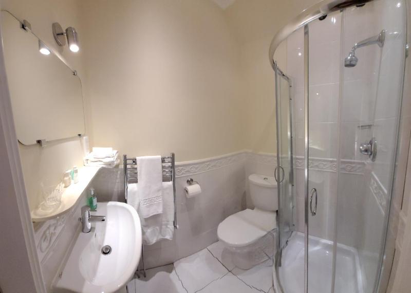 Deluxe Single Room image 2