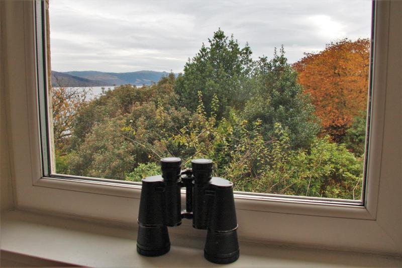 Deluxe King Room image 4