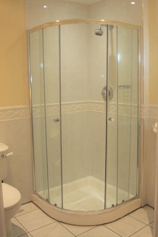 Deluxe King Room image 2