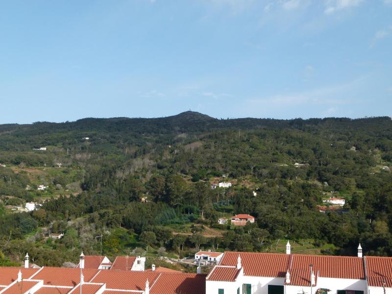 Twin Room with View image 3