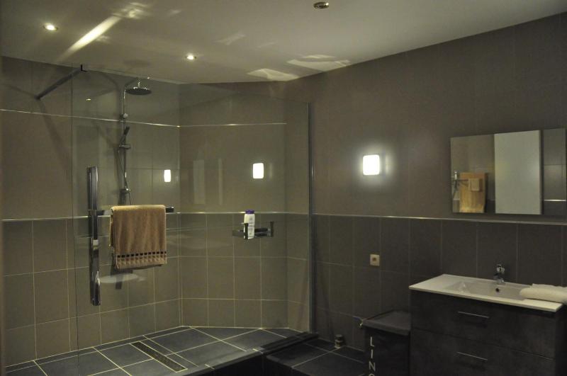 Superior Apartment image 2
