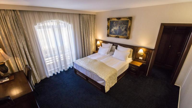 Deluxe King Suite image 4