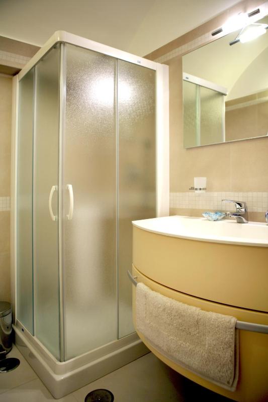 One-Bedroom Apartment image 3