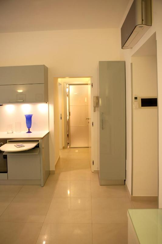 One-Bedroom Apartment image 2