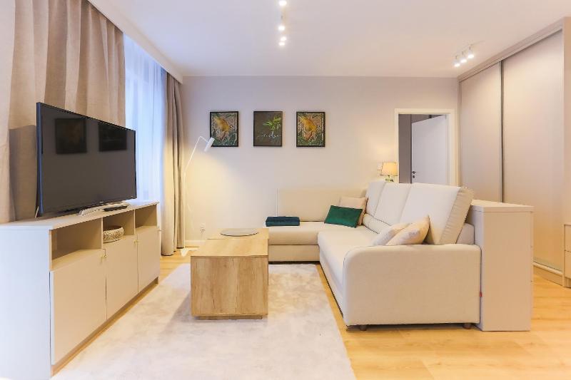 Superior Apartment image 3