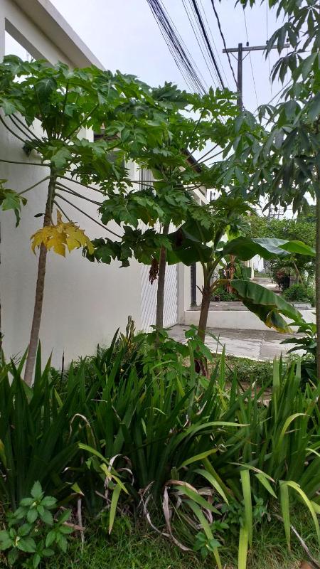 Arapiri Guest House - image 9