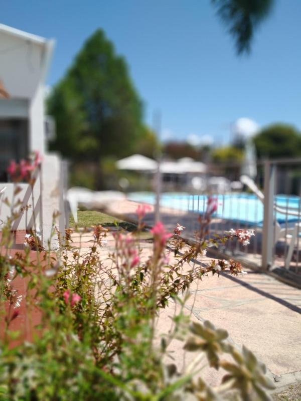 Casa Piedra Hotel - image 32