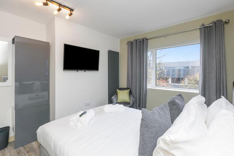 Deluxe King Room image 1