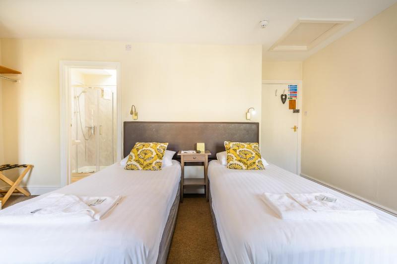 Standard Twin Room image 4