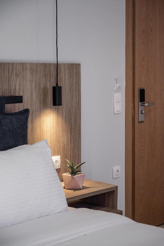 Superior Double Room image 4