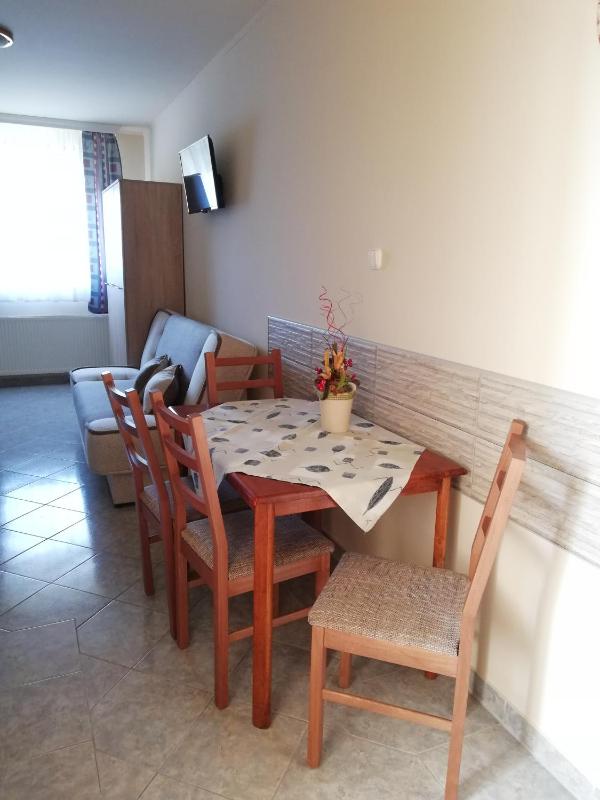 Large One-Bedroom Apartment image 3