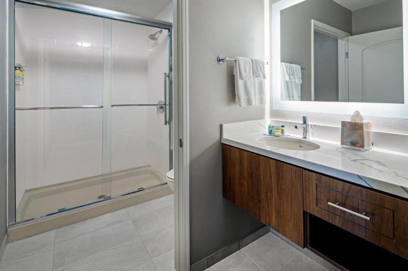 King Studio Suite image 2