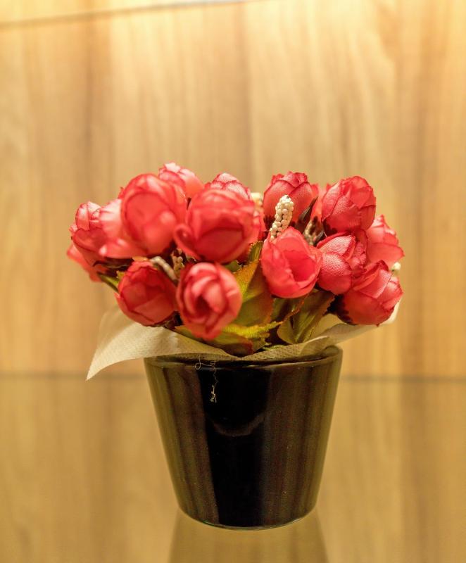 Business Apartment with Garden View image 4