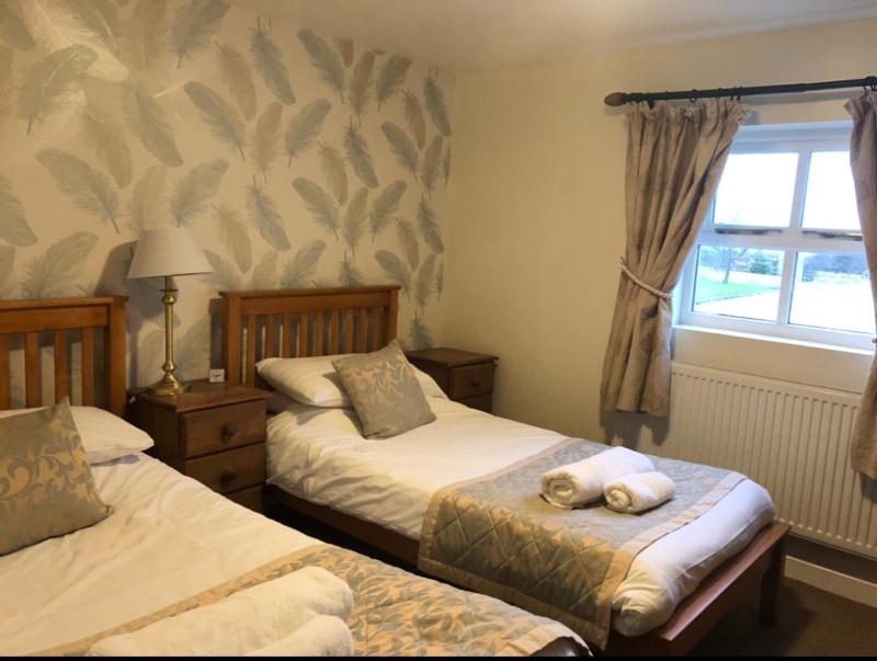 Twin Room image 1