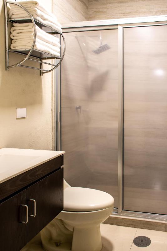 Hoteles ANTIGUA - SANTA LUCIA MTY - image 28