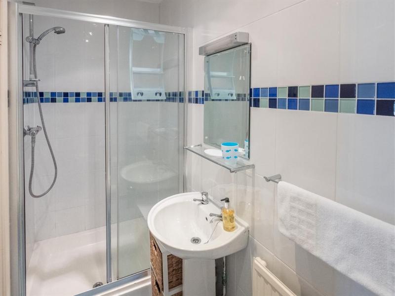 Apartment with Shower image 3