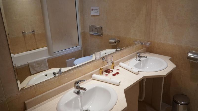 Deluxe Twin Room image 2