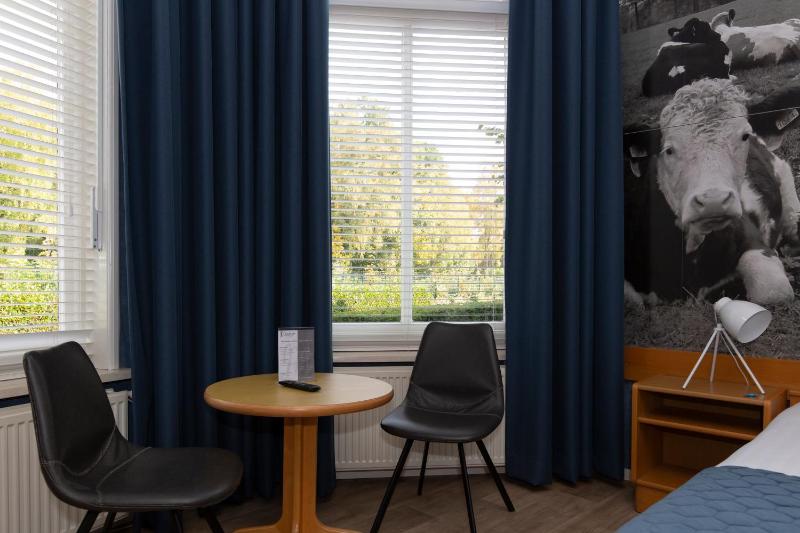 Superior Twin Room image 2