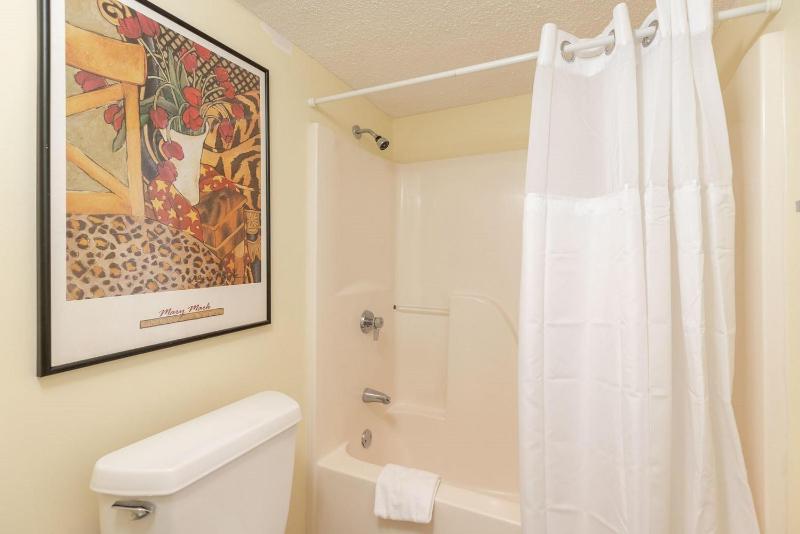 Deluxe Apartment image 3