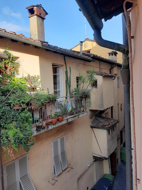 Il Vicolo - image 12