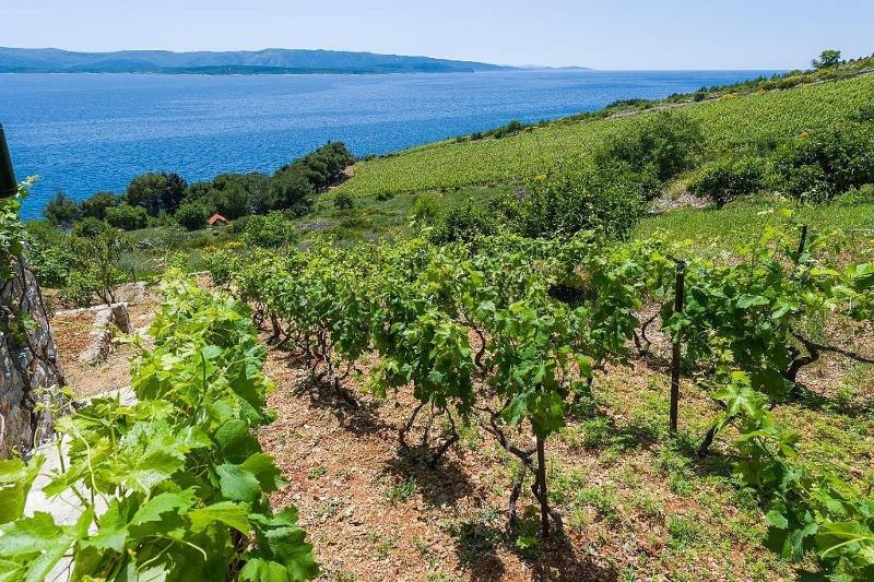 Vineyard Cottages - Murvica (146) - image 43