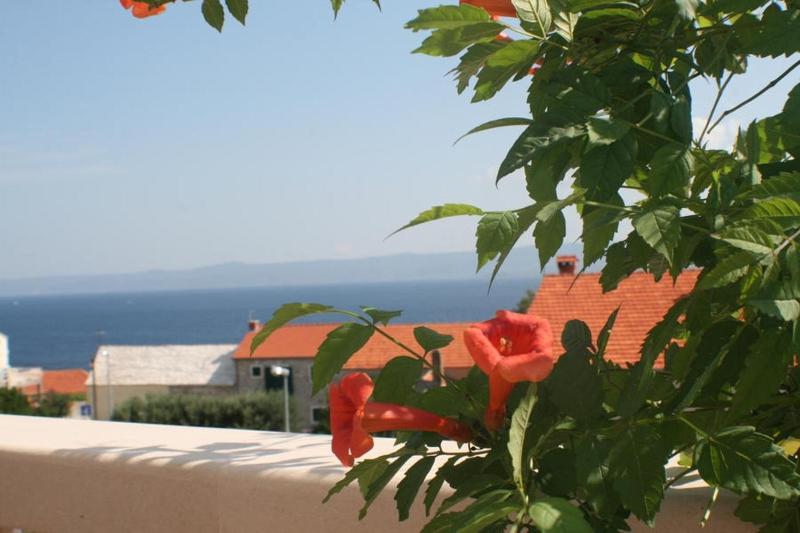 Apartment Bol (3417-4) - image 39