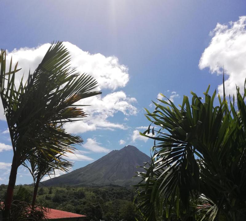 Orquideas Boutique Hotel - image 16