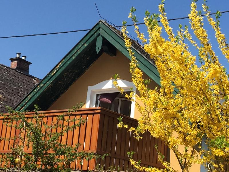 Large Two-Bedroom apartment with balcony Austrasse 7  image 3