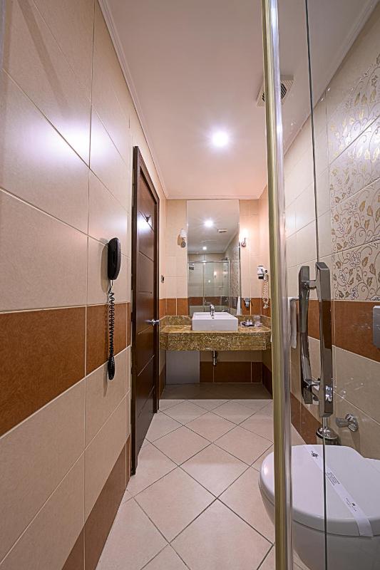 Deluxe Twin Room image 2