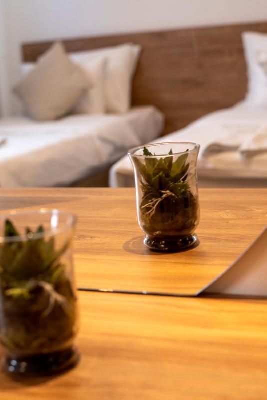 Deluxe Double or Twin Room image 3