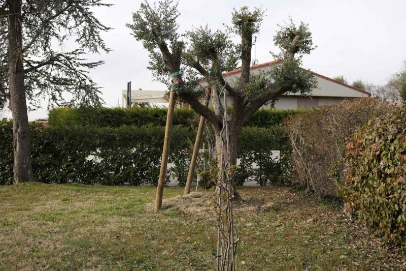 Apartment in Bardolino - Gardasee 39739 - image 22