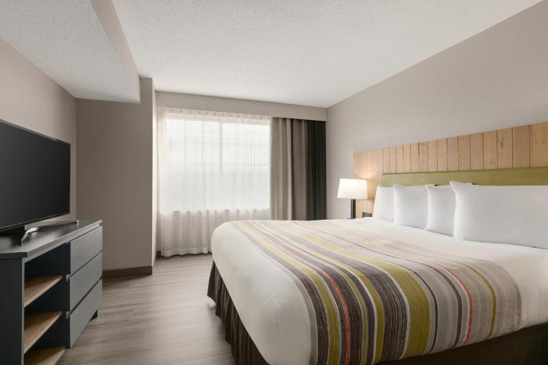 One-Bedroom King Suite with Sofa Bed image 2